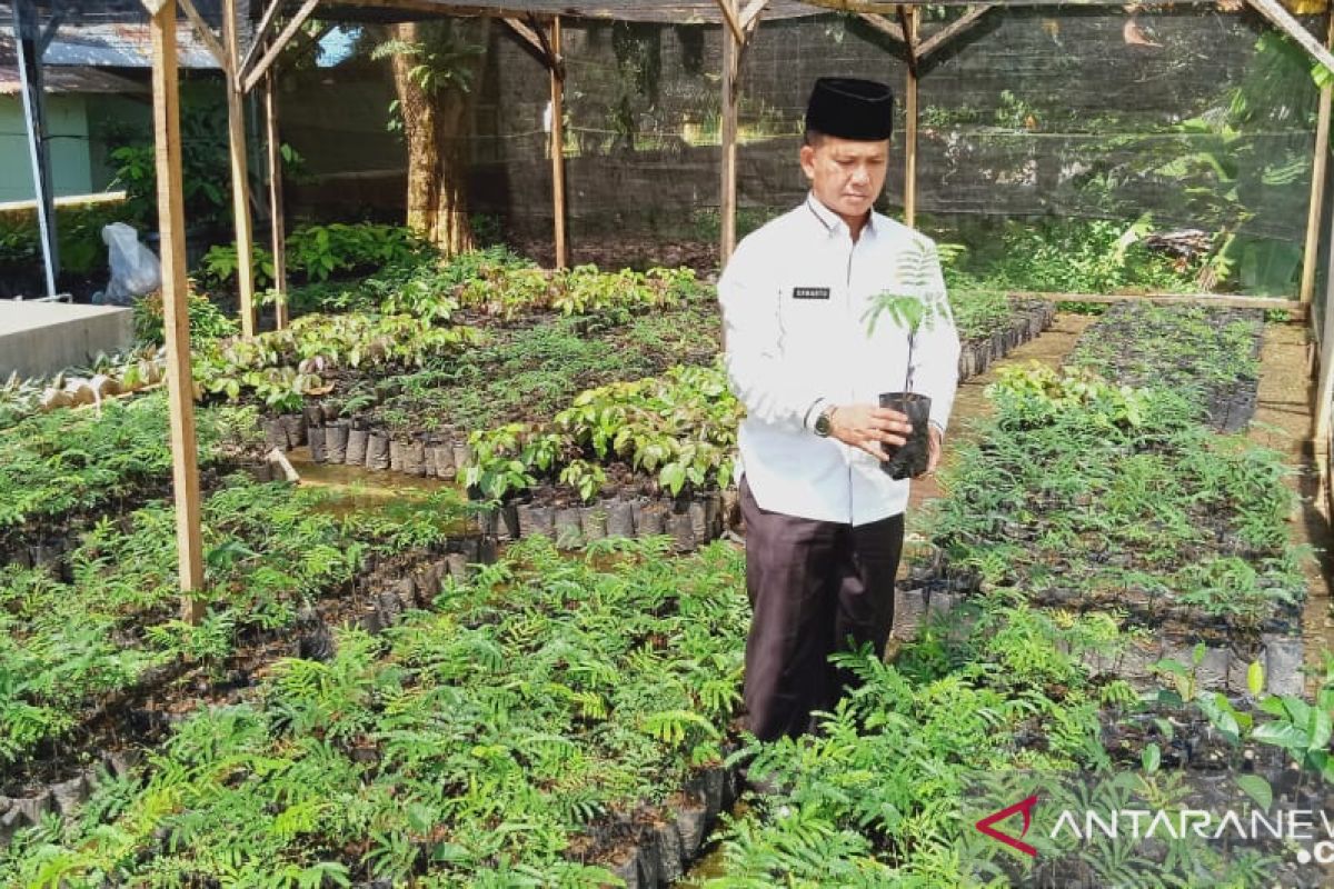 Agam salurkan puluhan ribu bibit tanaman buah bagi jamaah masjid