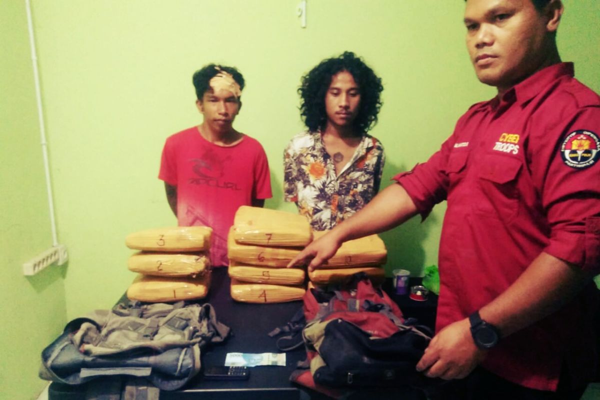 Bawa 10 paket ganja, Dua pemuda diamankan polisi Pasaman