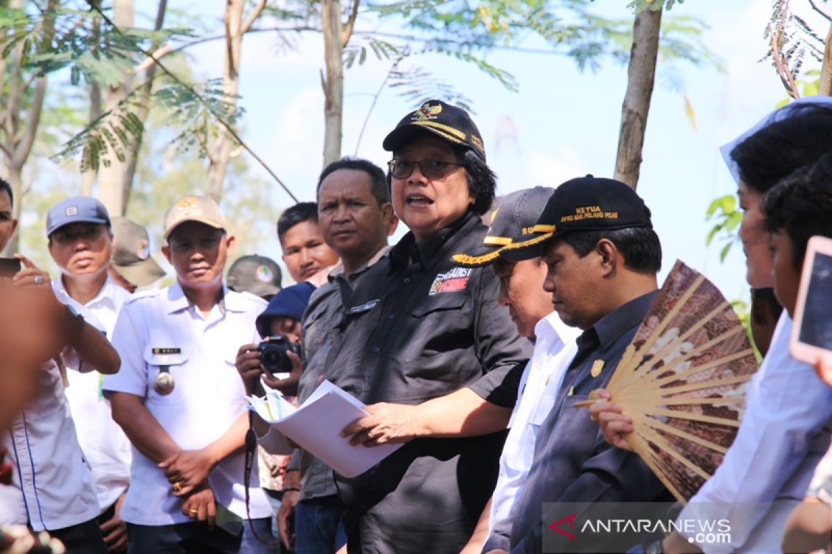 Kunjungan Menteri LHK ke kebun sengon Kabupaten Pulang Pisau