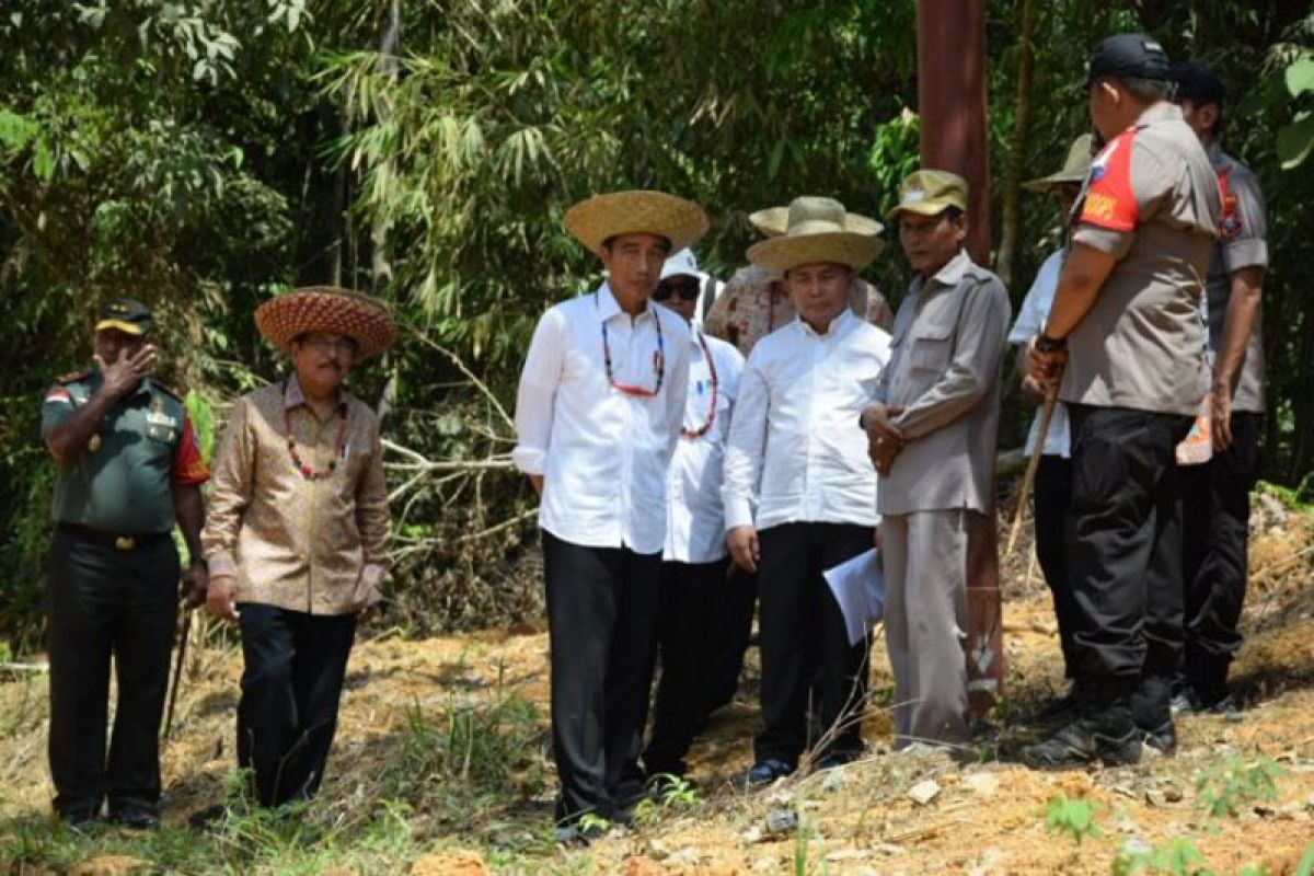 Jokowi keliling Kalteng cari "feeling" pindahkan ibu kota