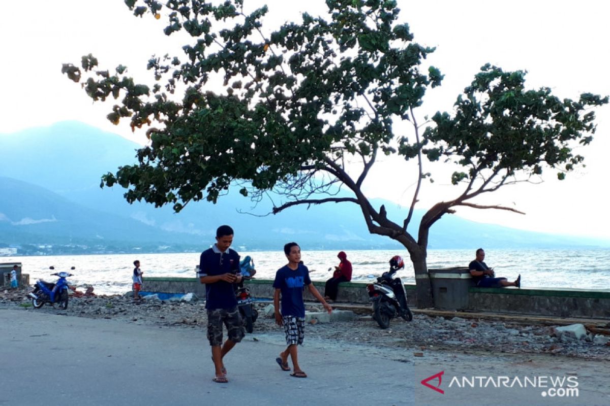 Pemkot dukung JICA bangun tanggul laut Teluk Palu