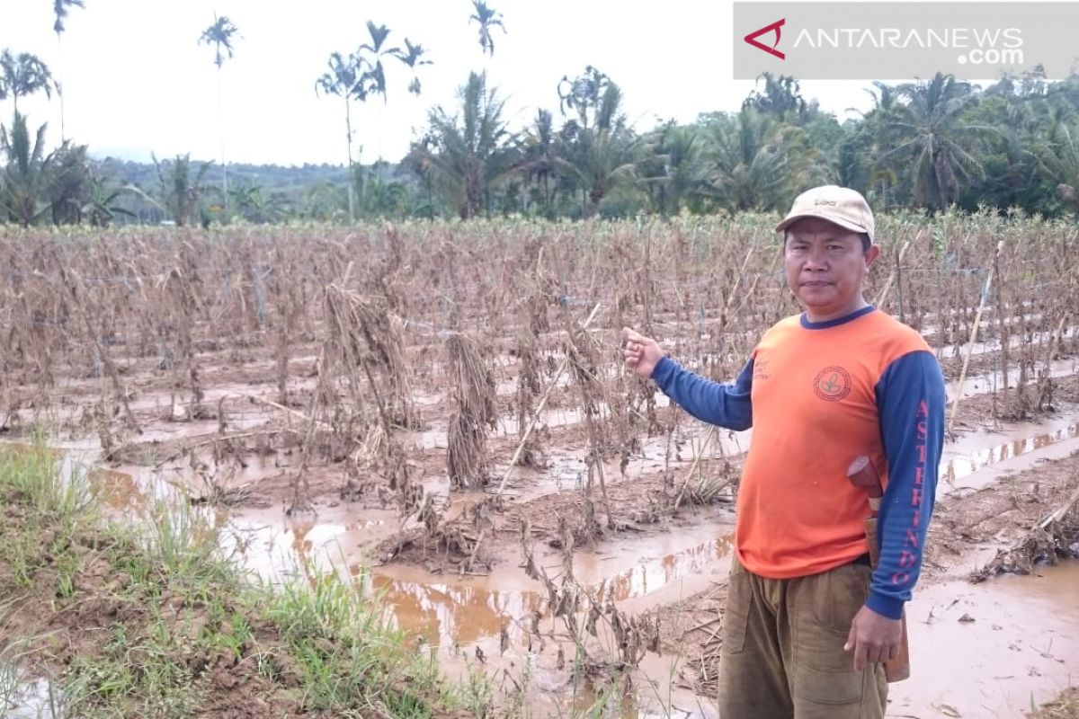 Petani terdampak banjir Kepahiang belum menerima bantuan