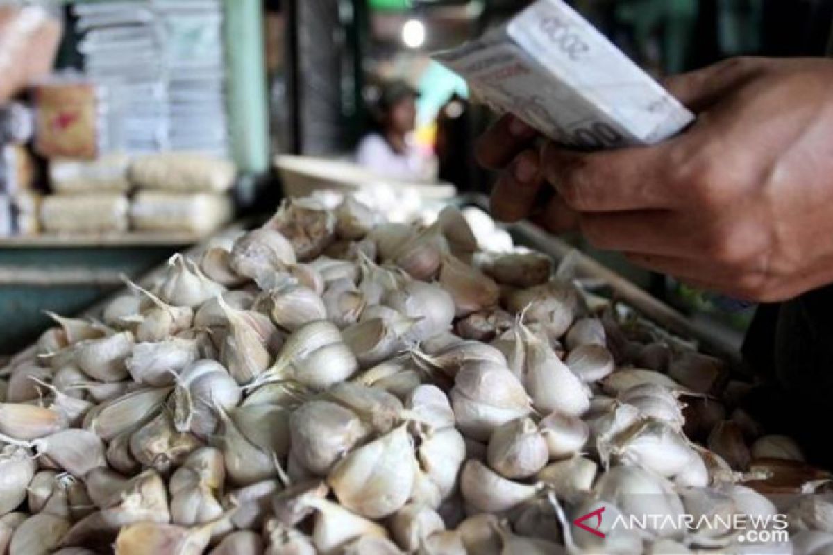 Harga bawang putih meroket di Sangatta -