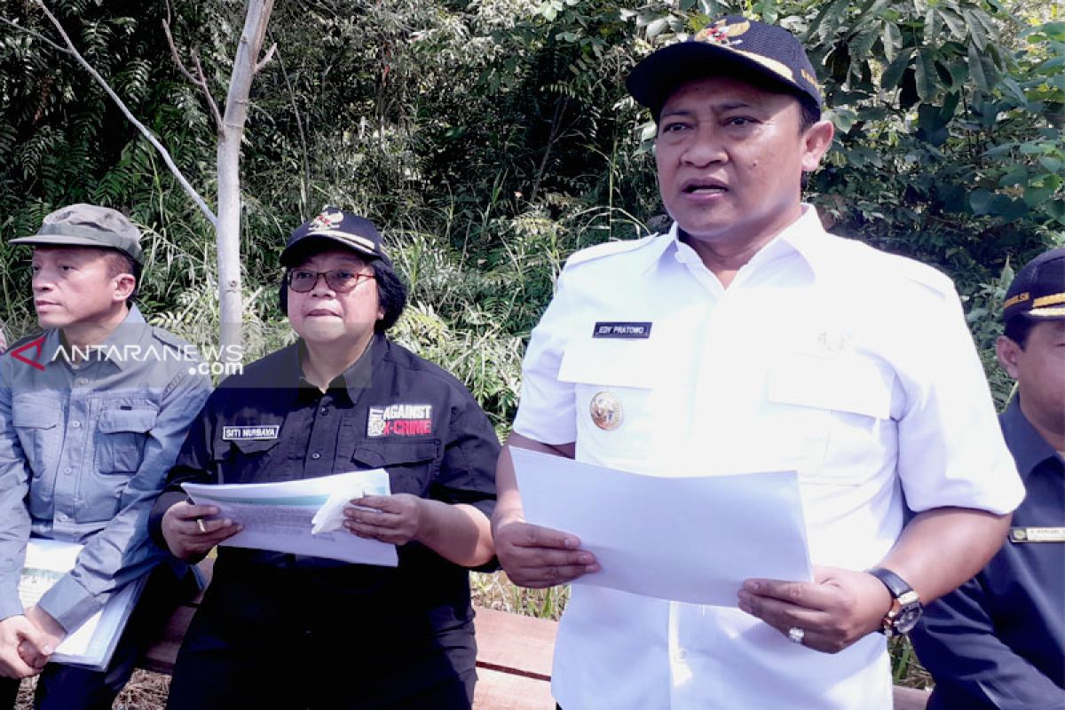 Pemkab Pulpis ingin hutan rakyat menjadi solusi bagi masyarakat