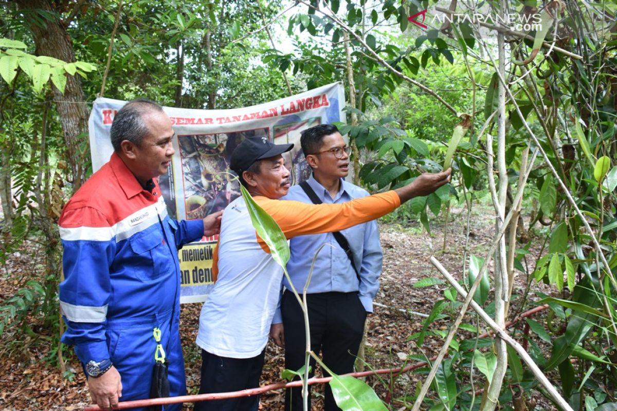 Pertamina : Arboretum Gambut layak dikunjungi wisatawan