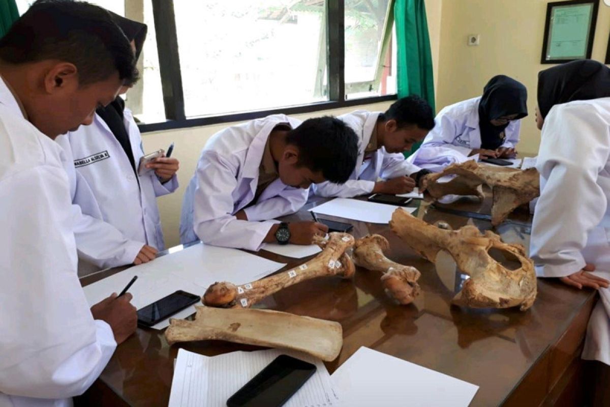 Mahasiswa Polbangtan YoMa pelajari tulang ternak