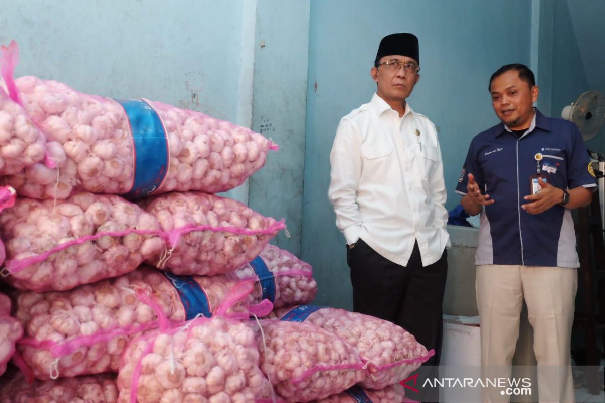 Harga bawang putih Sembalun Lombok mencapai Rp80.000 per kilogram