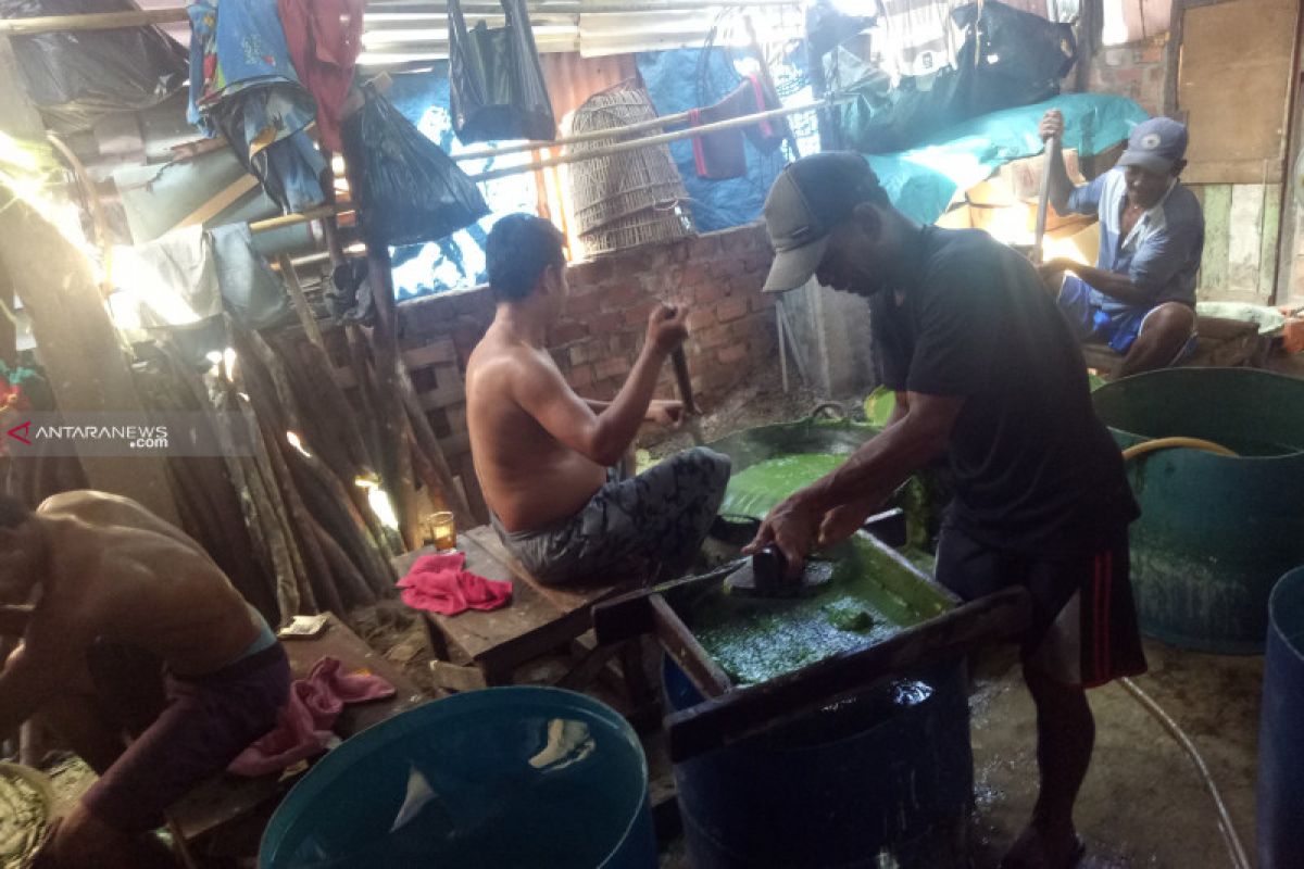 Produsen dawet-cincau habiskan satu ton bahan baku perhari