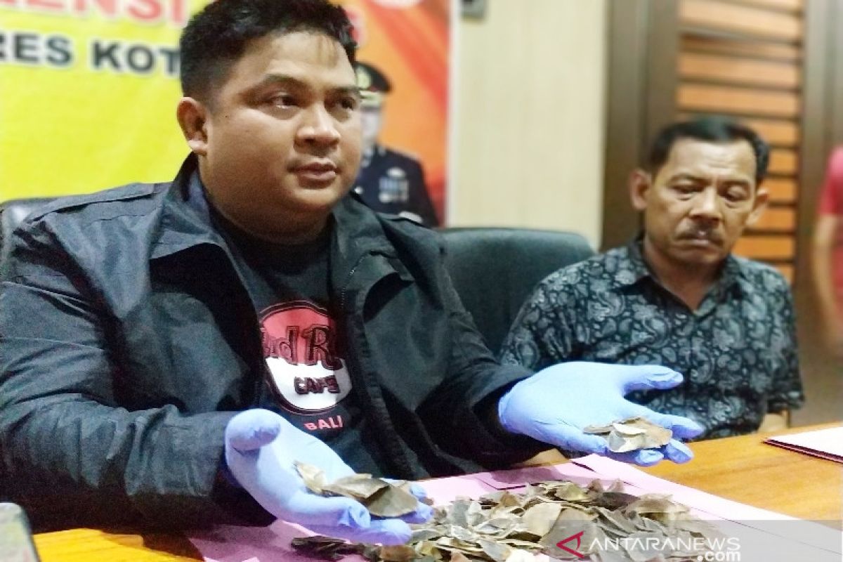 Polres Kotim tangkap tersangka penjual sisik trenggiling