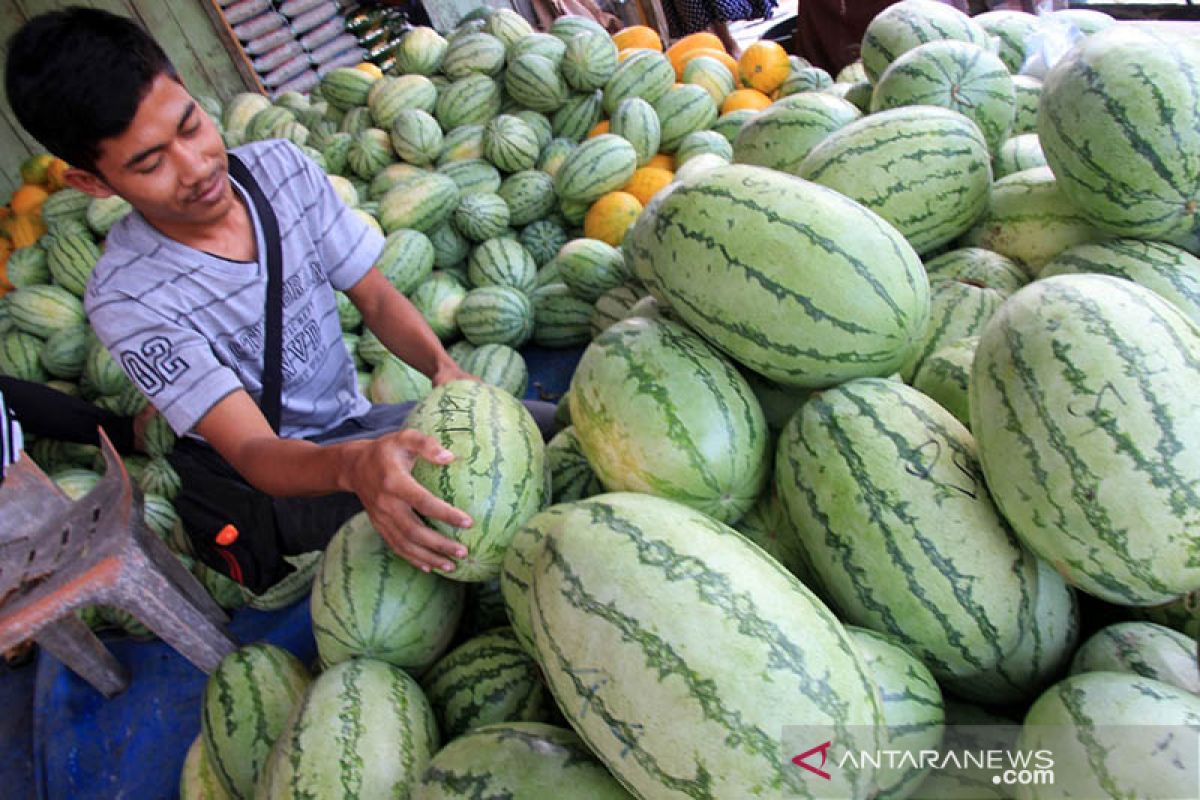 Permintaan buah semangka meningkat