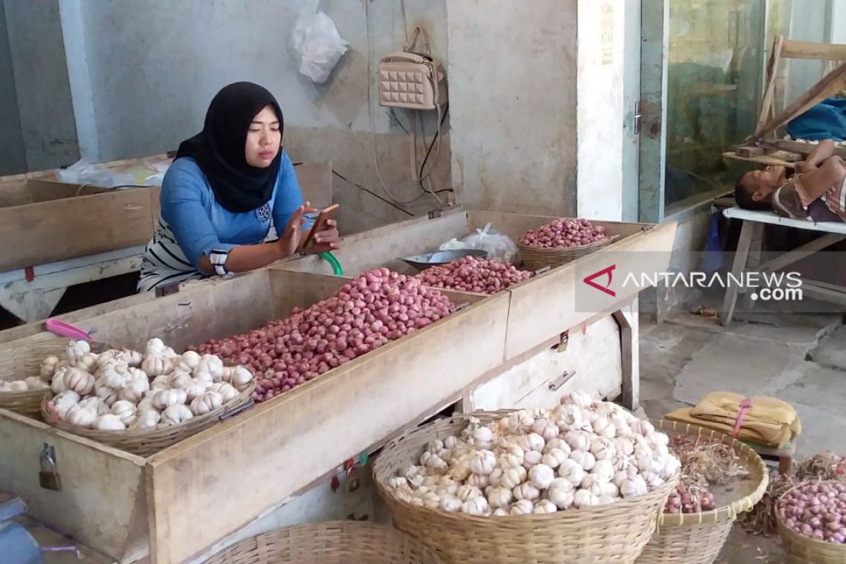 Harga bawang putih di Jember perlahan-lahan turun