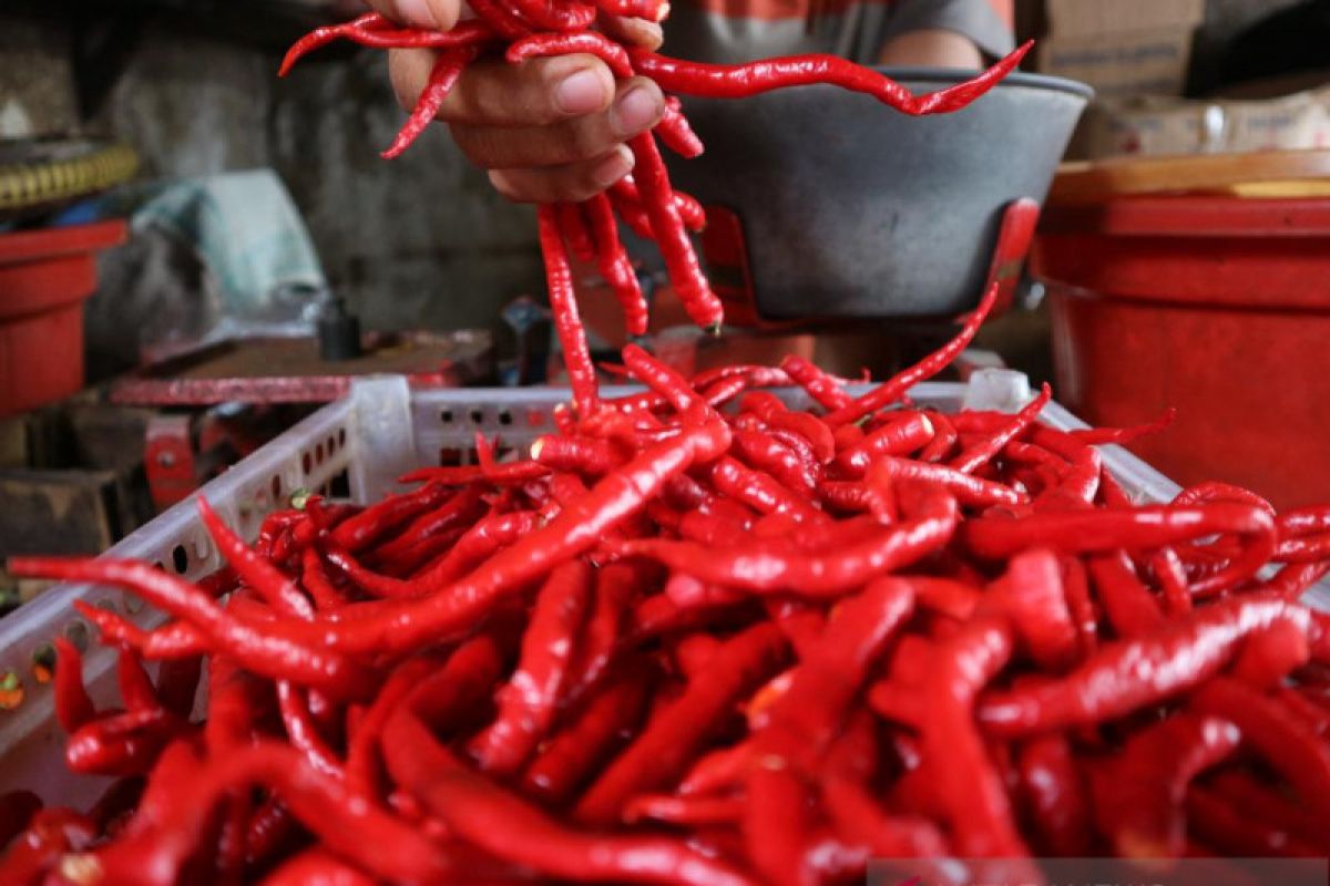 Harga bawang putih mulai turun, cabai dan tomat naik