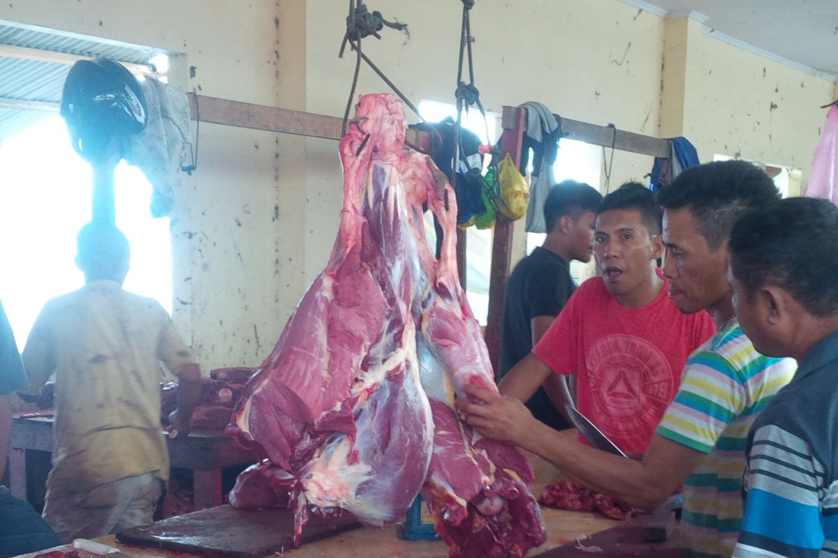 Harga daging sapi di Malut stabil