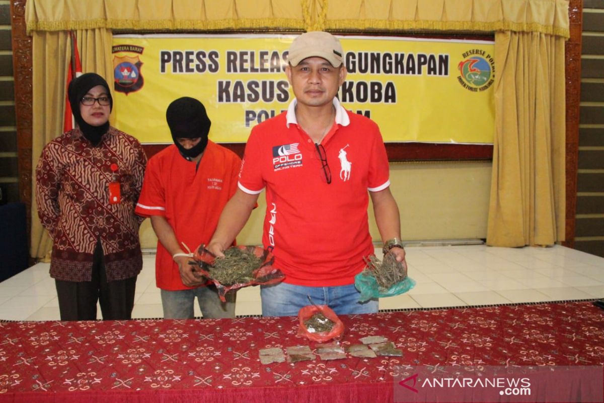 Polisi Agam tangkap pengedar ganja tanpa perlawanan