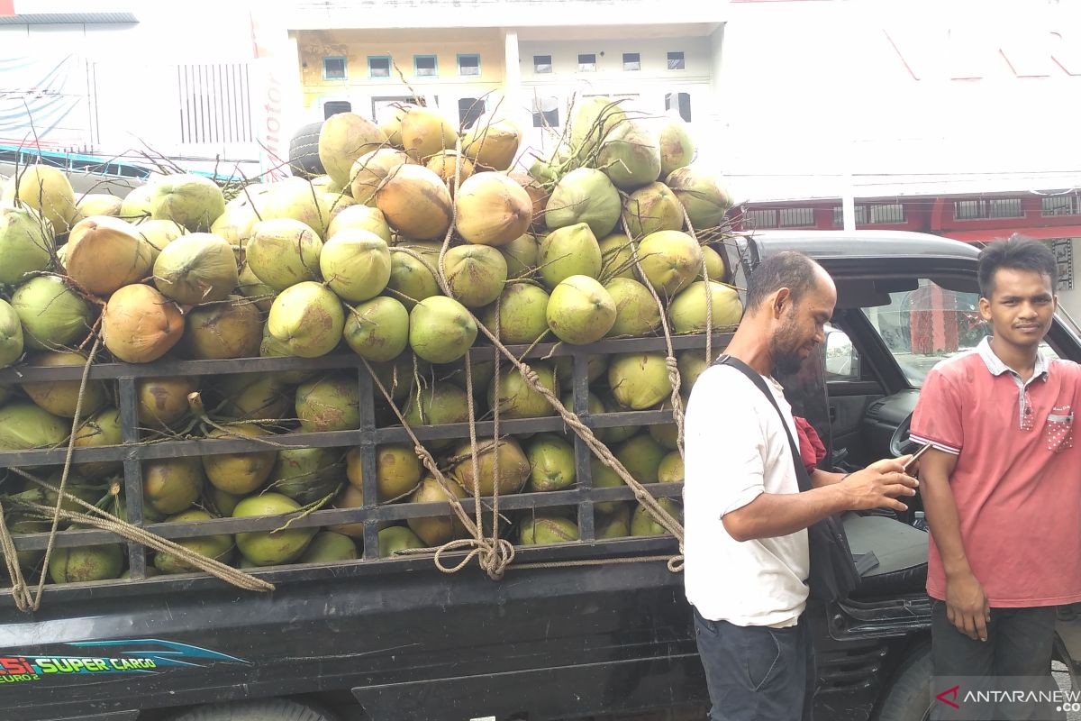 Penyuplai kelapa muda  kewalahan di awal Ramadhan