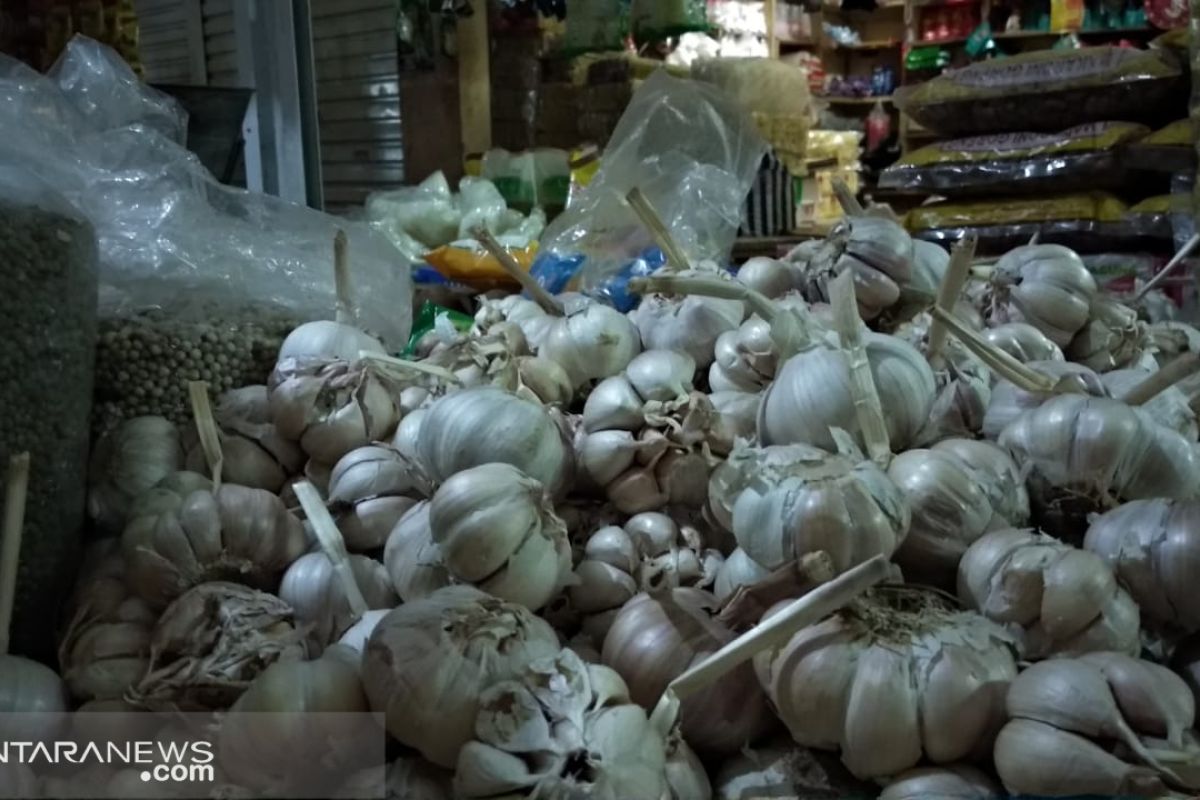 Penuhi kebutuhan pasar, Sukabumi kembangkan tanaman bawang putih