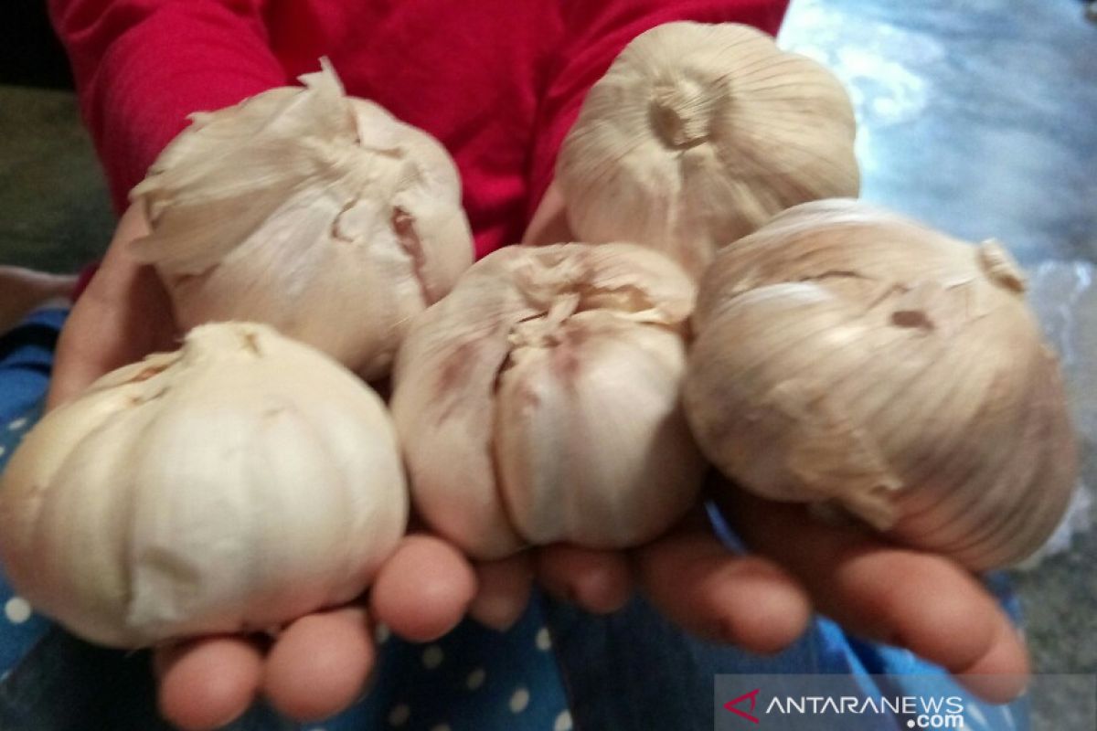 Bawang putih di Pematangsiantar Rp80.000 pe kg