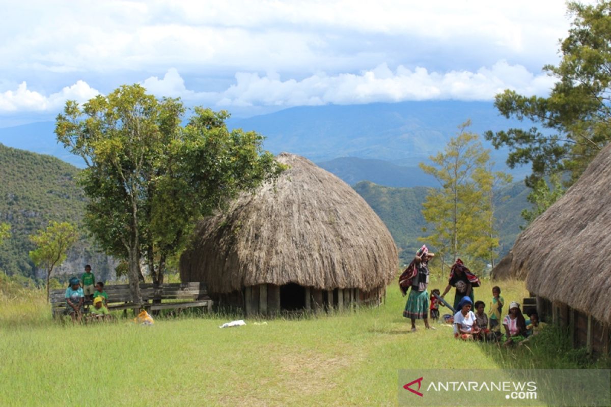 HPN 2020, PWI akan undang wartawan Asia Pasifik potret Papua