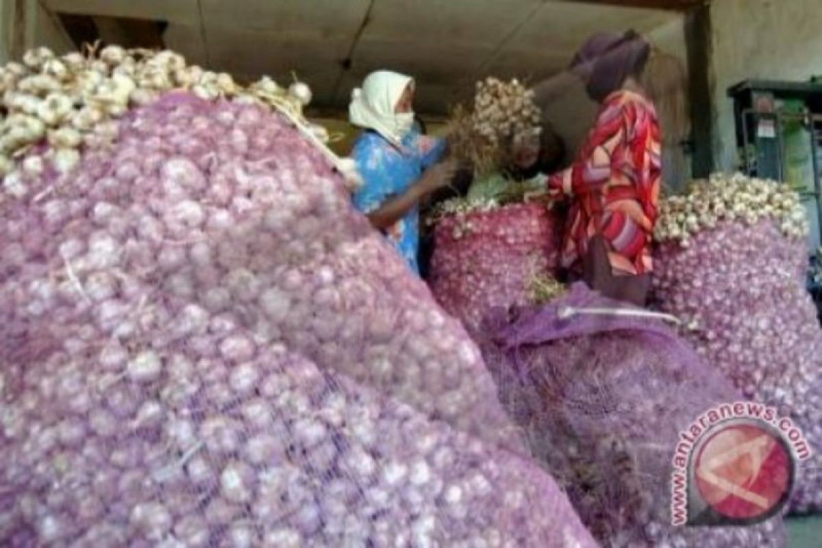 Delapan kontainer bawang putih masuk di Pelabuhan Belawan