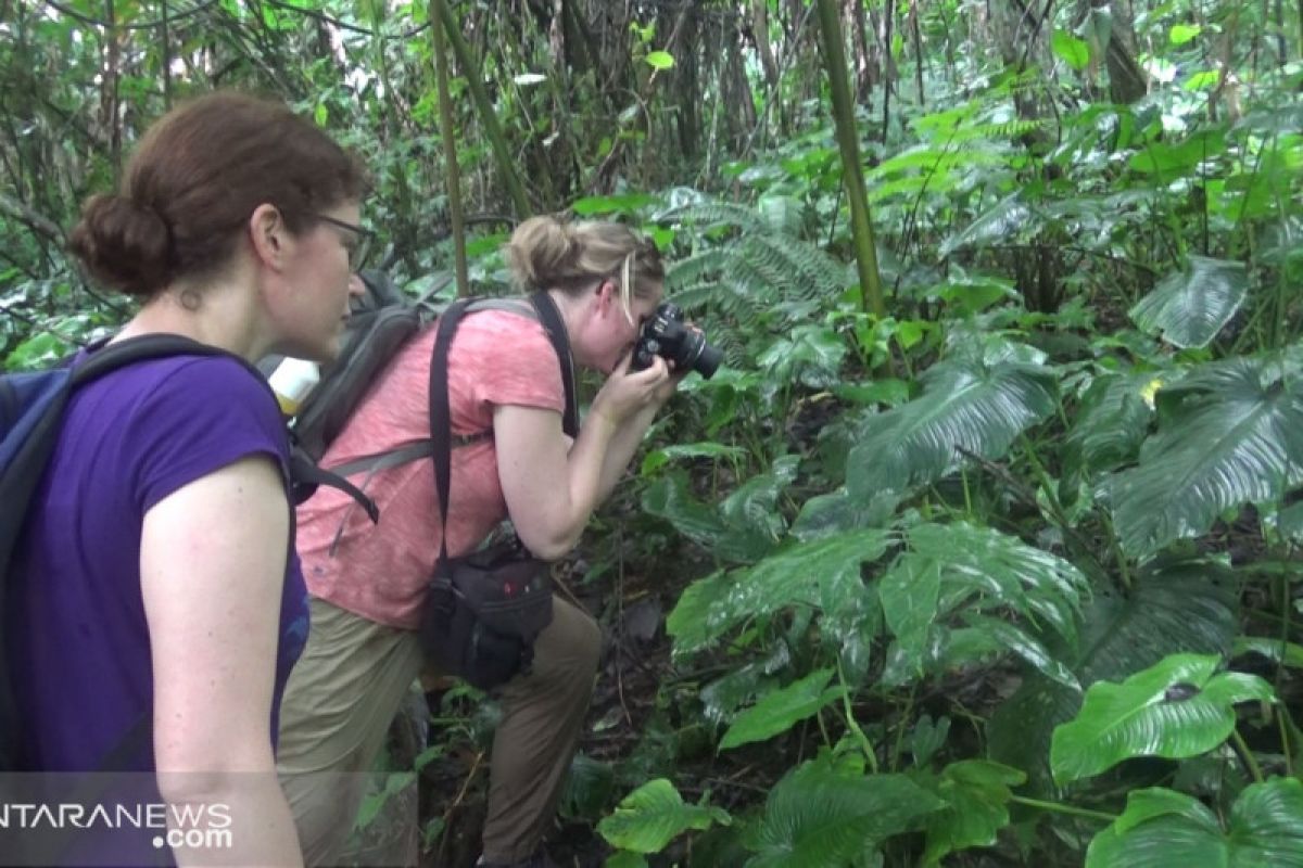 Eleven Dutch students study biodiversity in Sukabumi