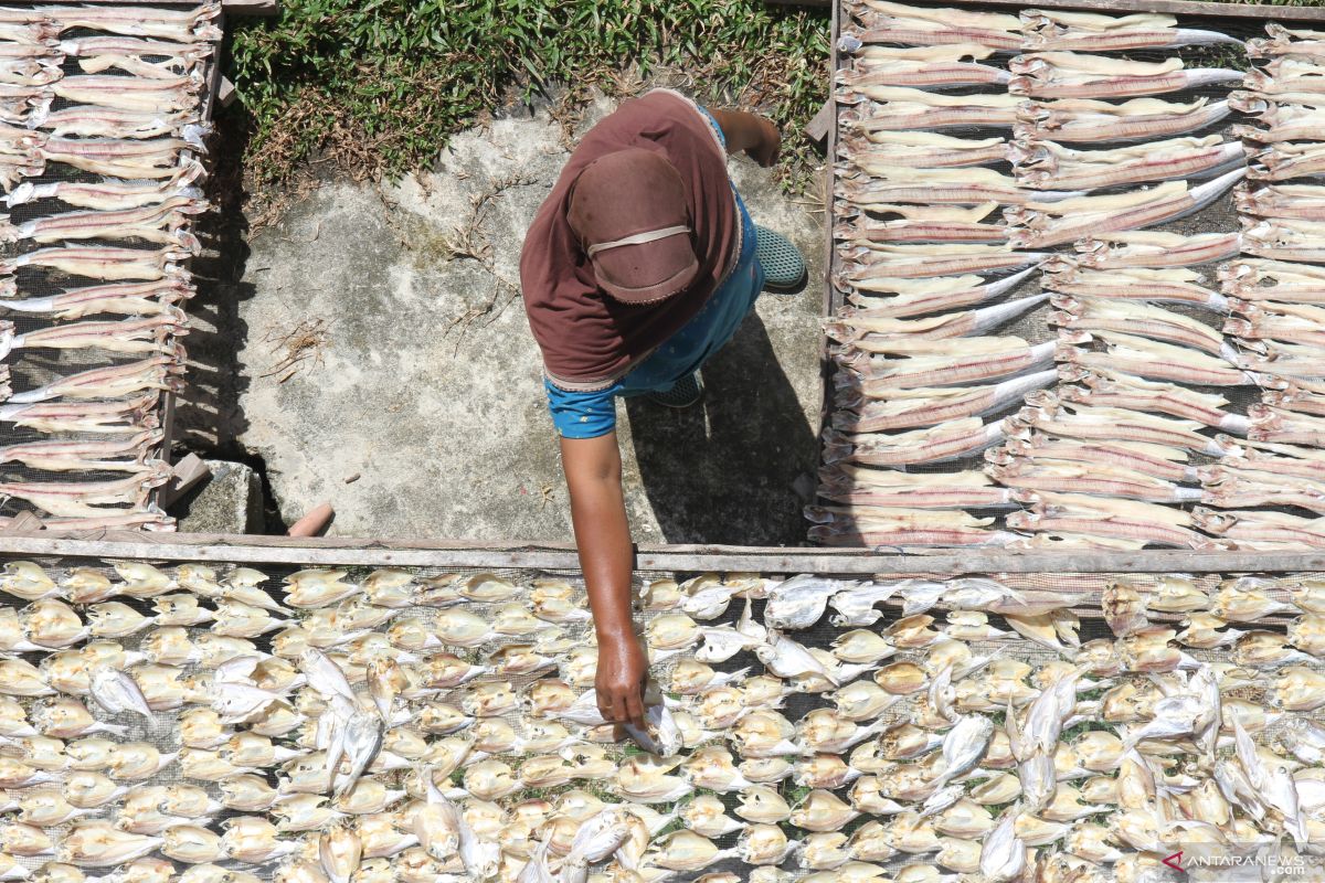 Permintaan ikan asin di Aceh Barat  meningkat