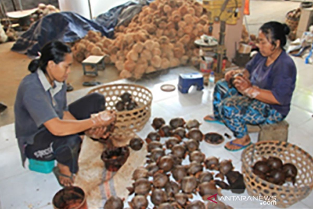 "Yande Batok" olah batok kelapa jadi kerajinan tembus pasar mancanegara