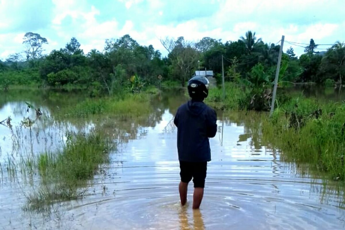 Banjir kiriman dari Kaltim rendam tiga desa di Tanjung Palas Timur