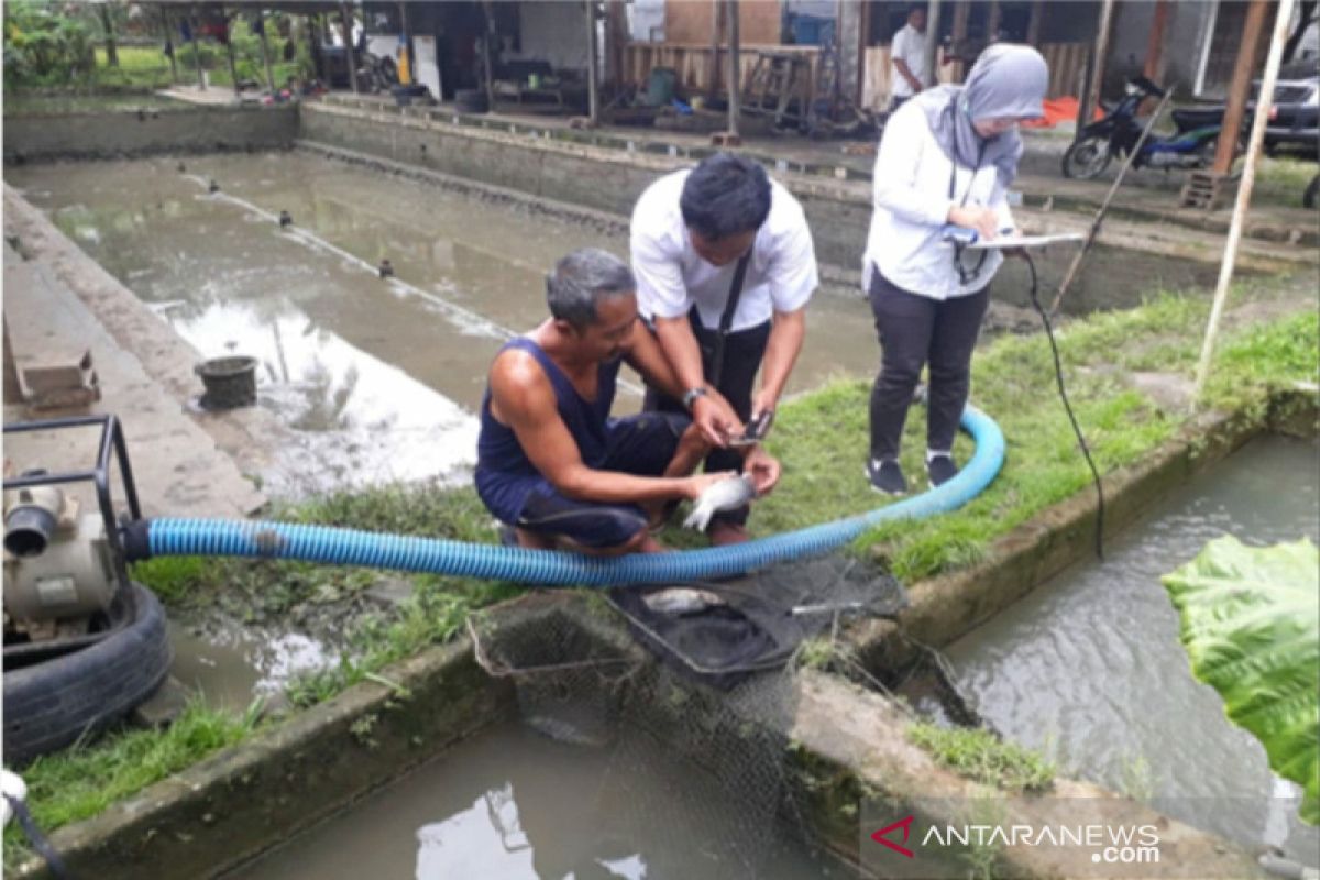 Pemkab: ibu rumah tangga diberi pelatihan pengolahan hasil laut