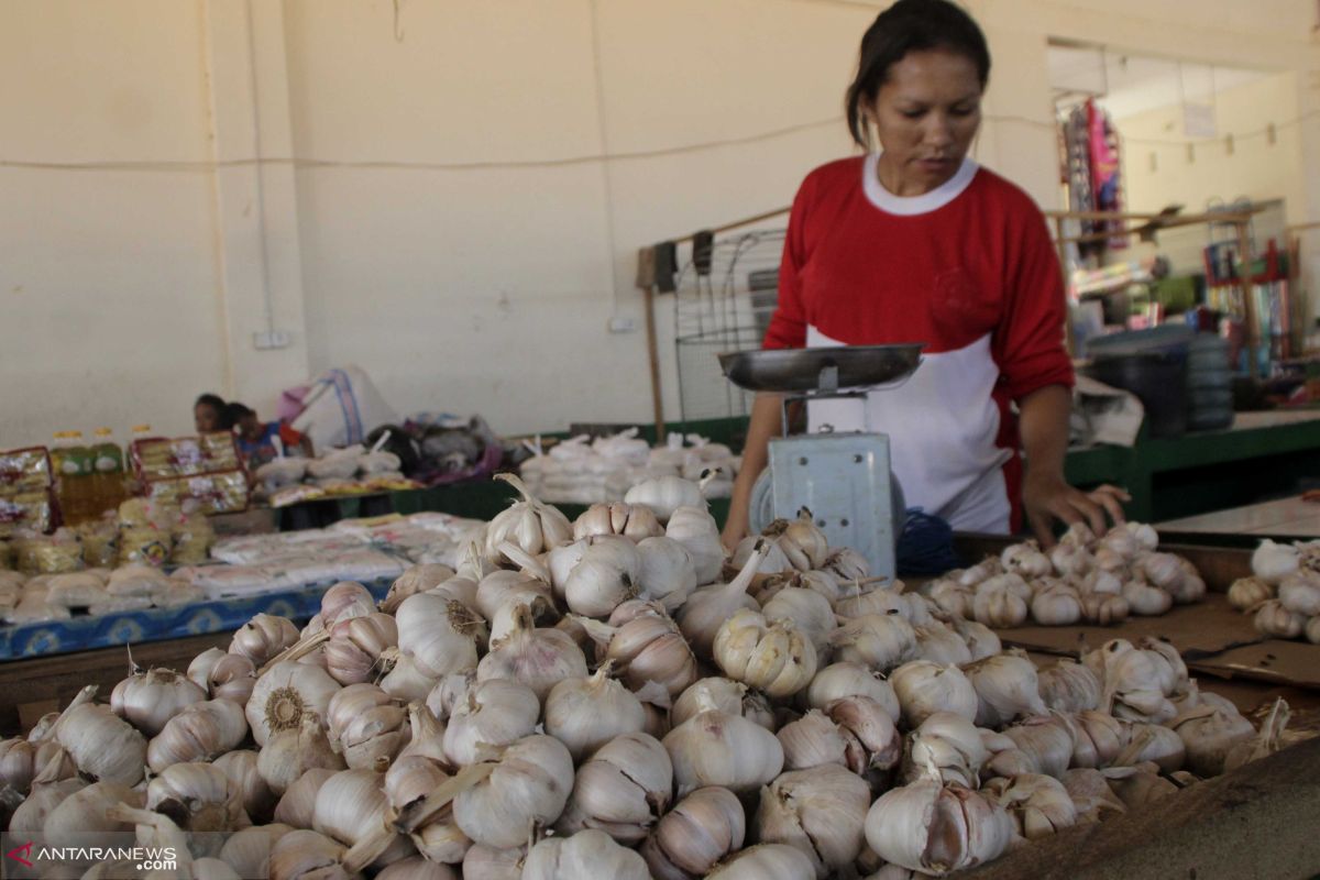 Harga bawang putih di pasaran Kupang bervariasi