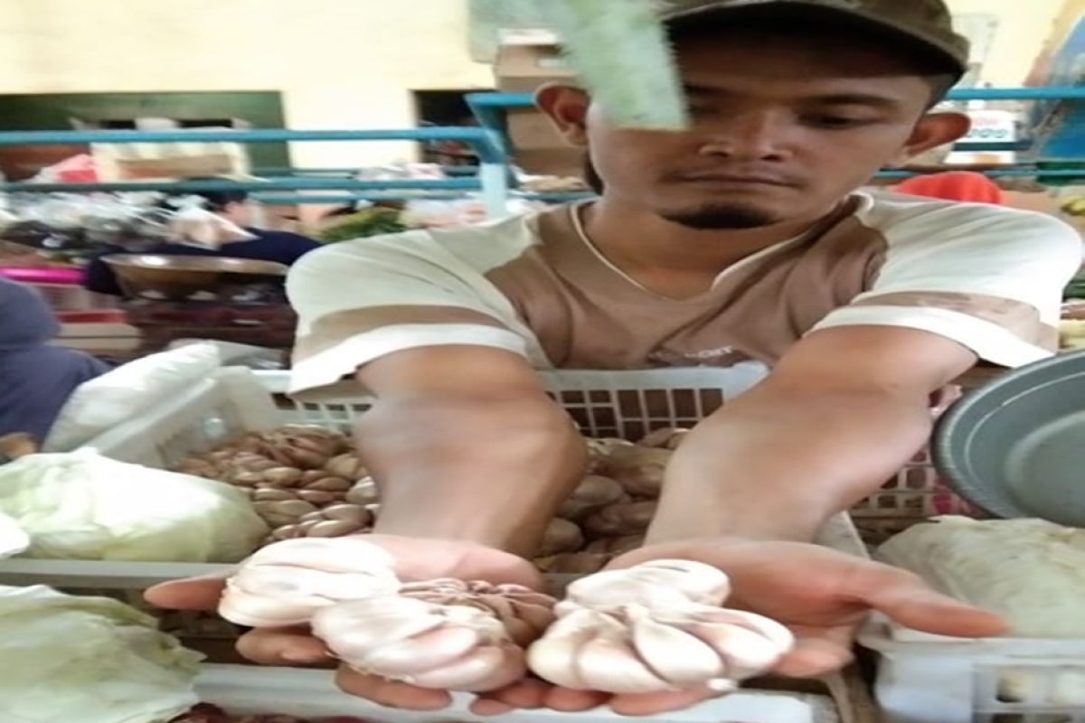 Harga bawang putih capai Rp70.000/kg