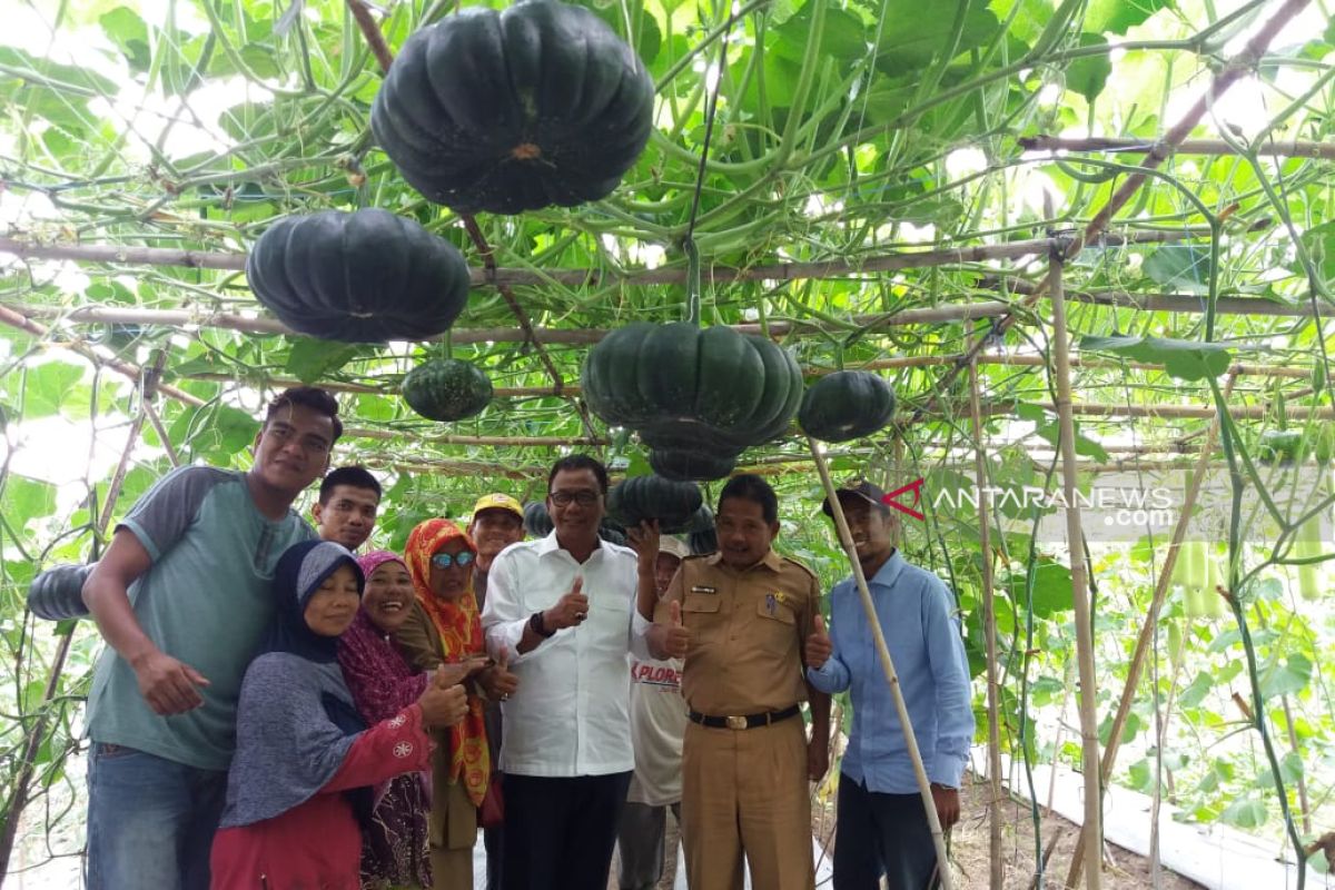 Pemkab Rohil terus kembangkan sektor pertanian dan perkebunan