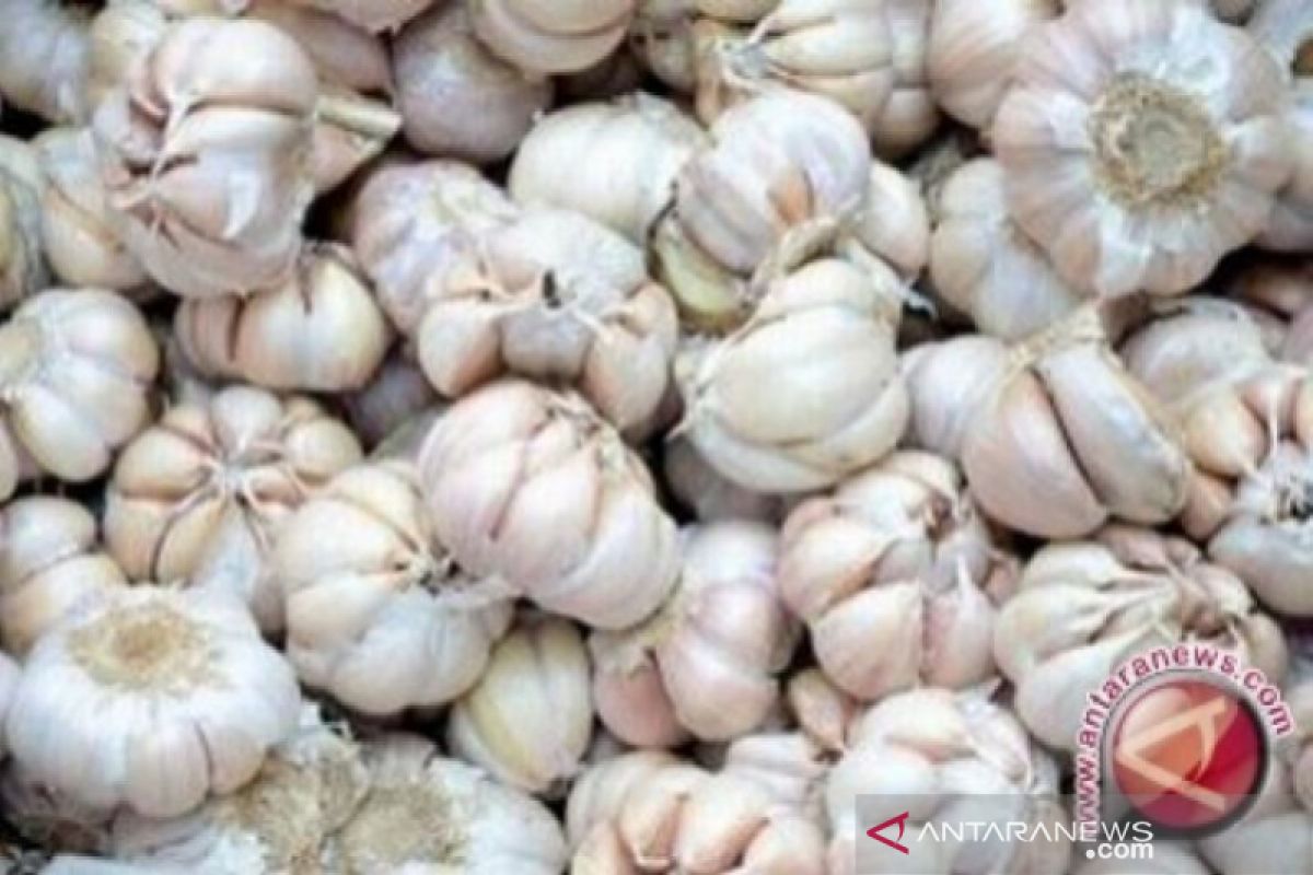 Harga bawang putih di Bantul mulai menurun