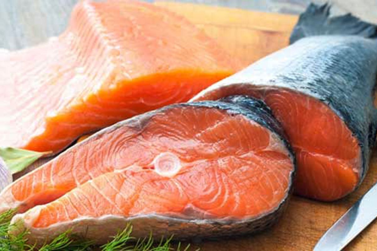 Manfaat Salmon, tingkatkan kesehatan jantung hingga mencegah ADHD
