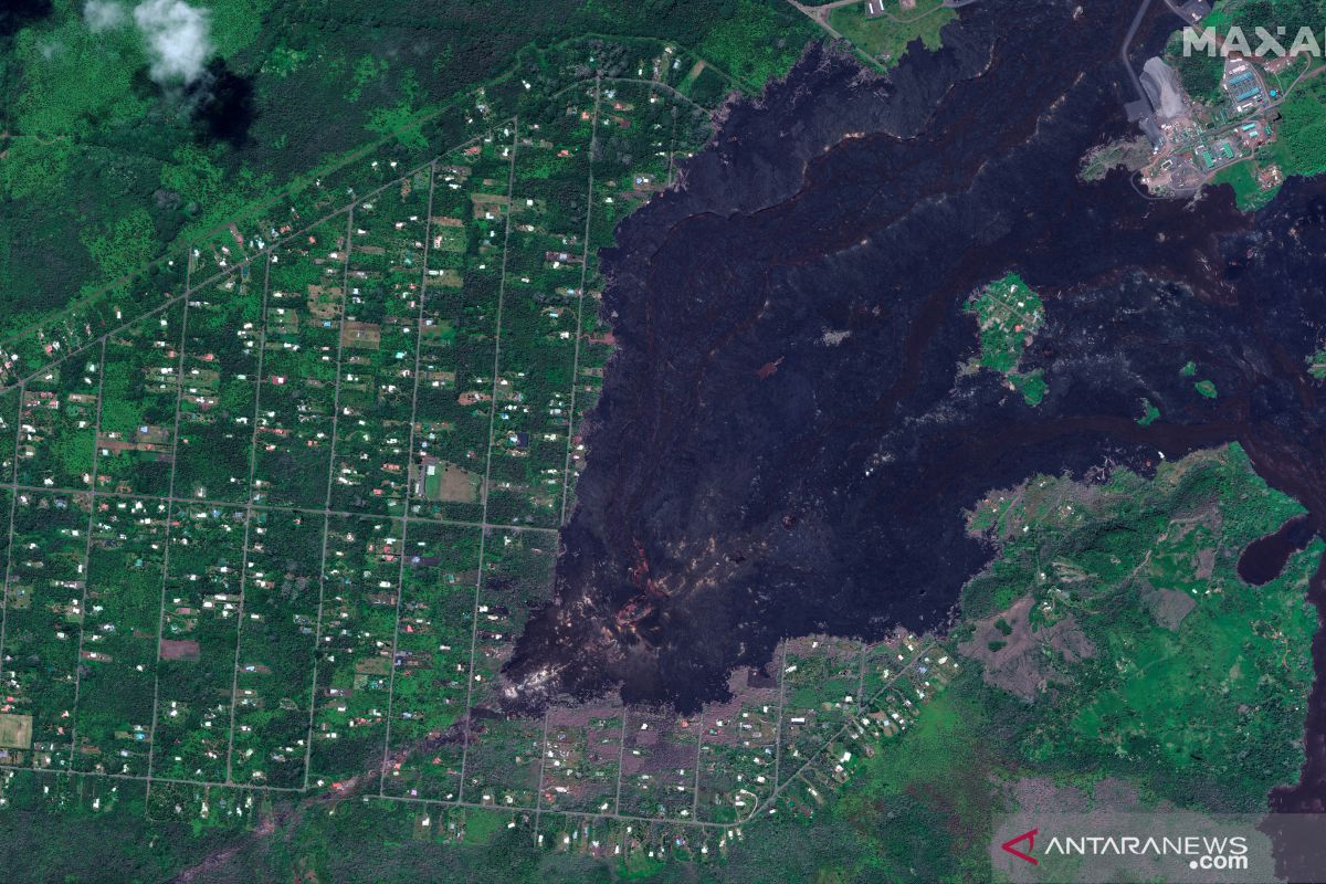 Gubernur Hawaii umumkan keadaan darurat untuk kebakaran hutan Maui