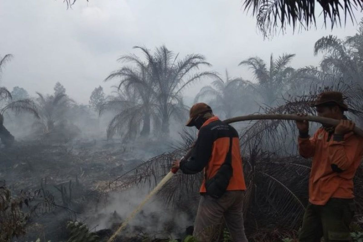 Satgas Karhutla Dumai padamkan 2 titik api saat daerah lain hujan, begini penjelasannya