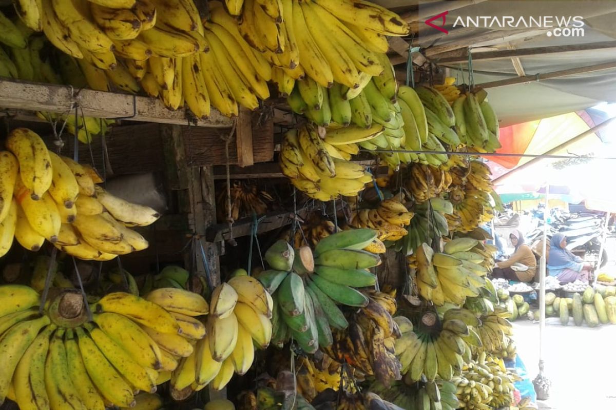 Selama Ramadhan, harga pisang di Baubau naik