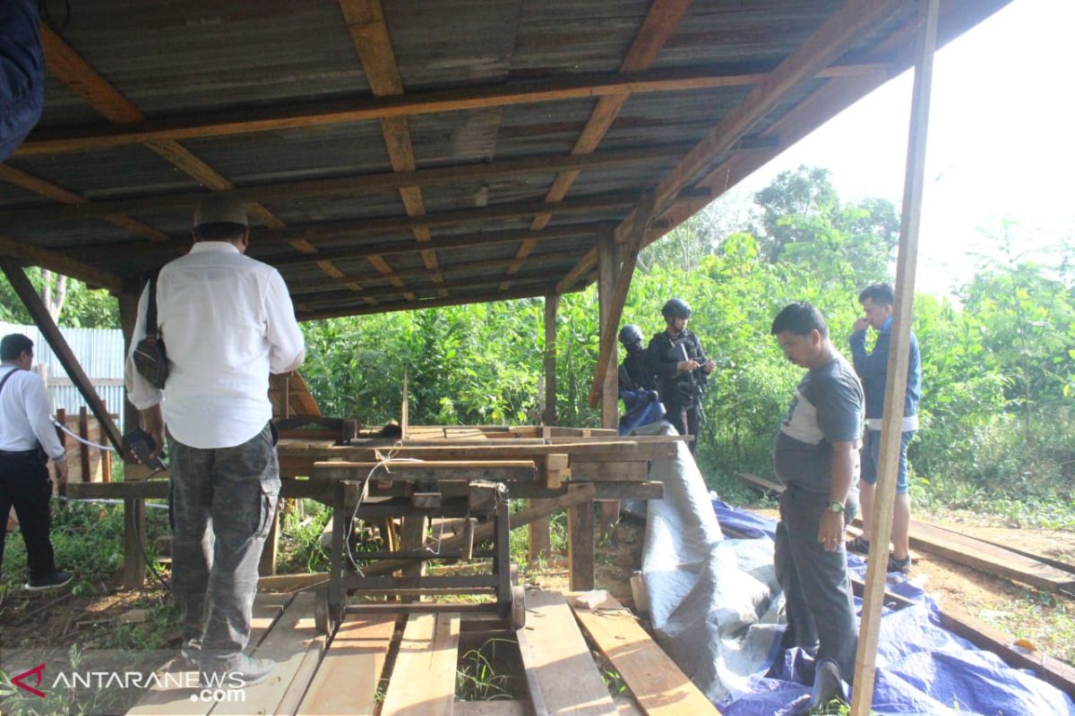 Kayu ilegal asal Jambi ditemukan di Sumsel,  jumlahnya bikin kaget