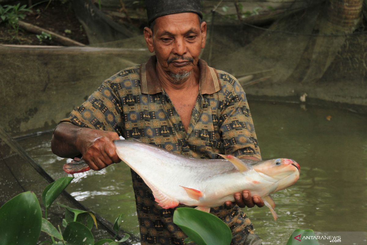 Petani tambak Sidoarjo mengeluhkan kualitas pasokan air baku yang buruk