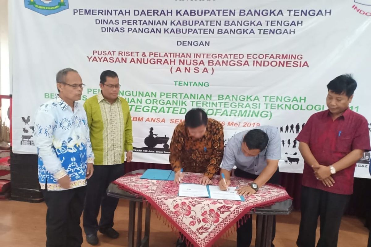Pemkab Bangka Tengah gandeng Yayasan ANSA kembangkan pertanian