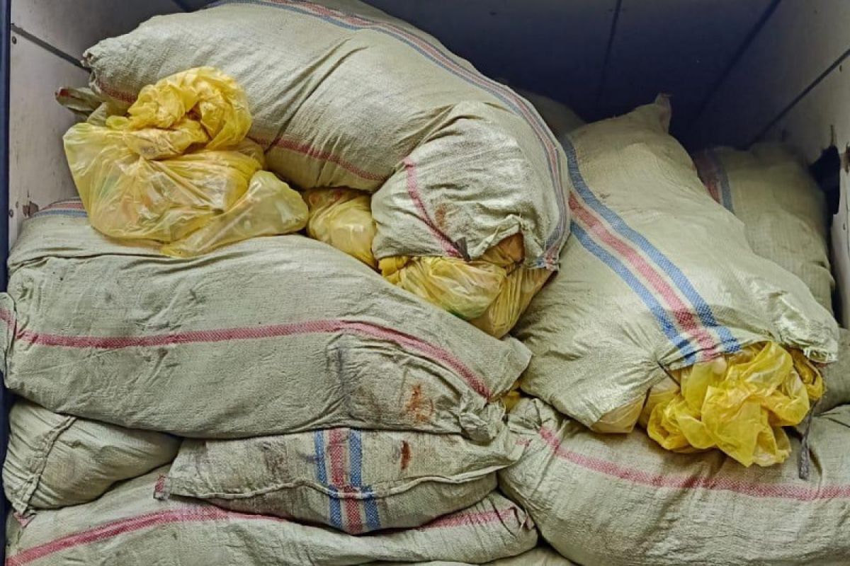 BNN amankan 300 kilogram ganja ditemukan di antara karung limbah medis B3