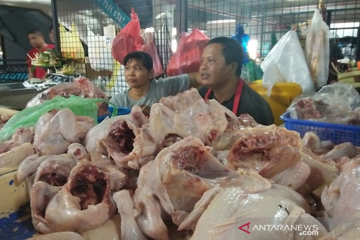 Pedagang Pasar Badung keluhkan turunnya harga daging ayam