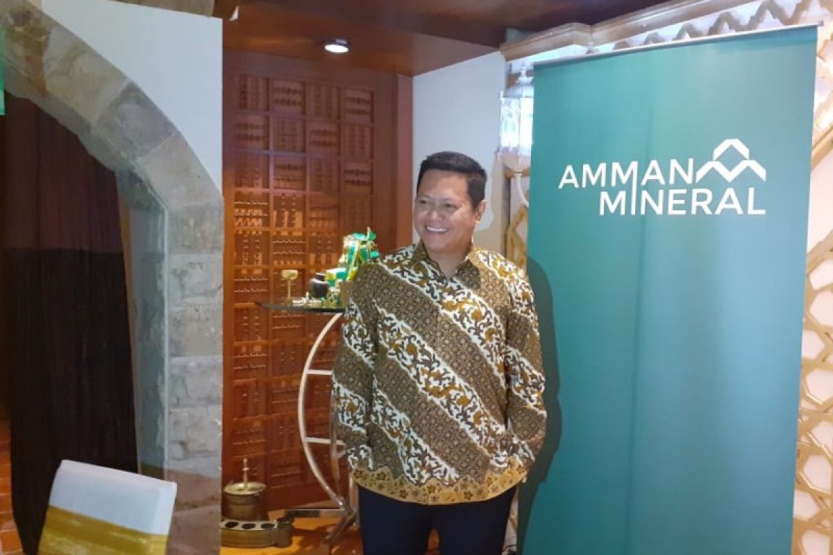 Bangun smelter, Amman Mineral minta pemerintah beri insentif pajak