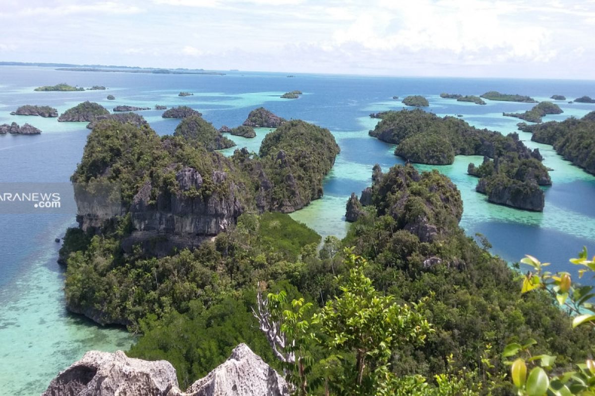 Raja Ampat apresiasi penurunan harga tiket pesawat