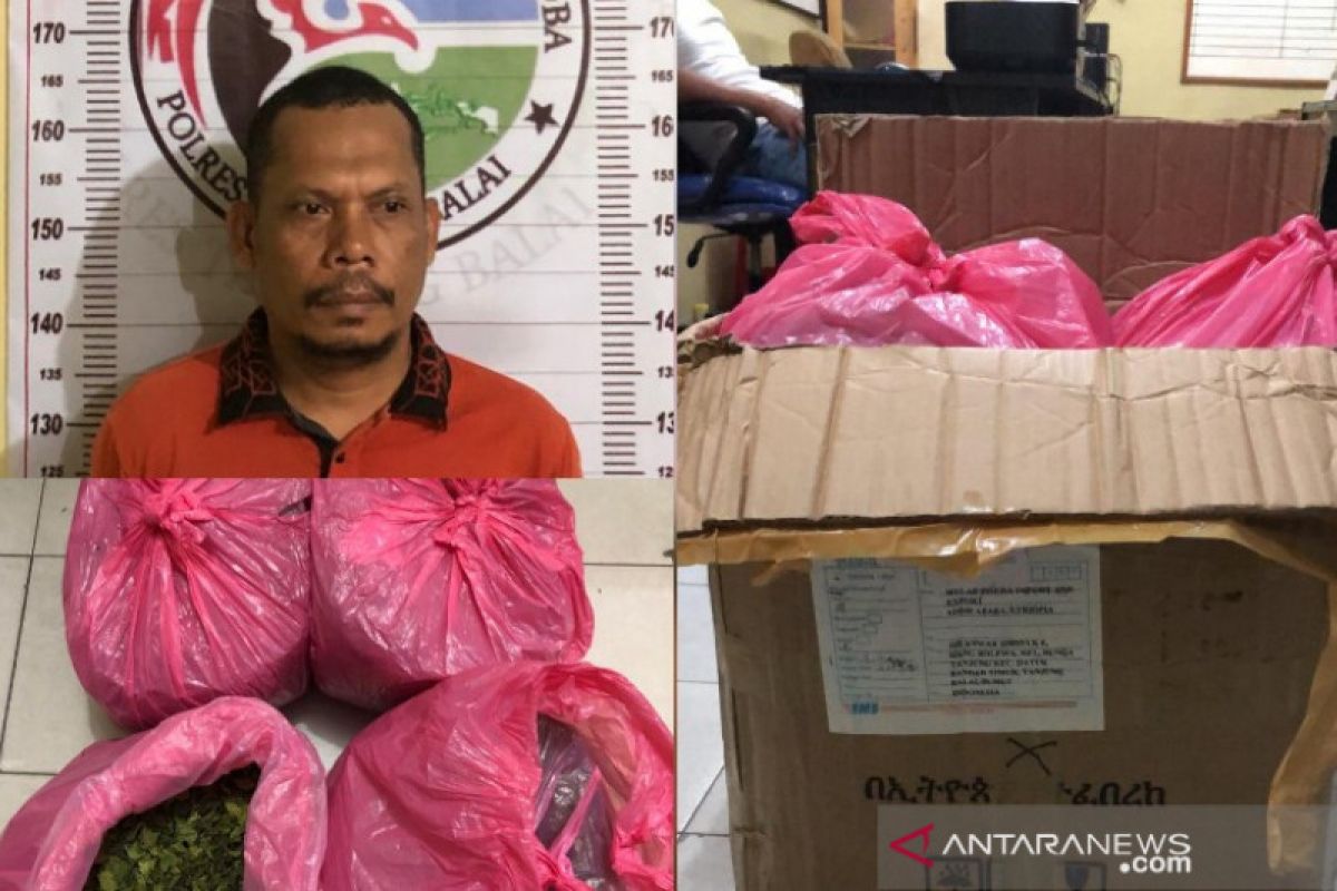 Polisi amankan pria penerima paket narkotika dari Etiopia