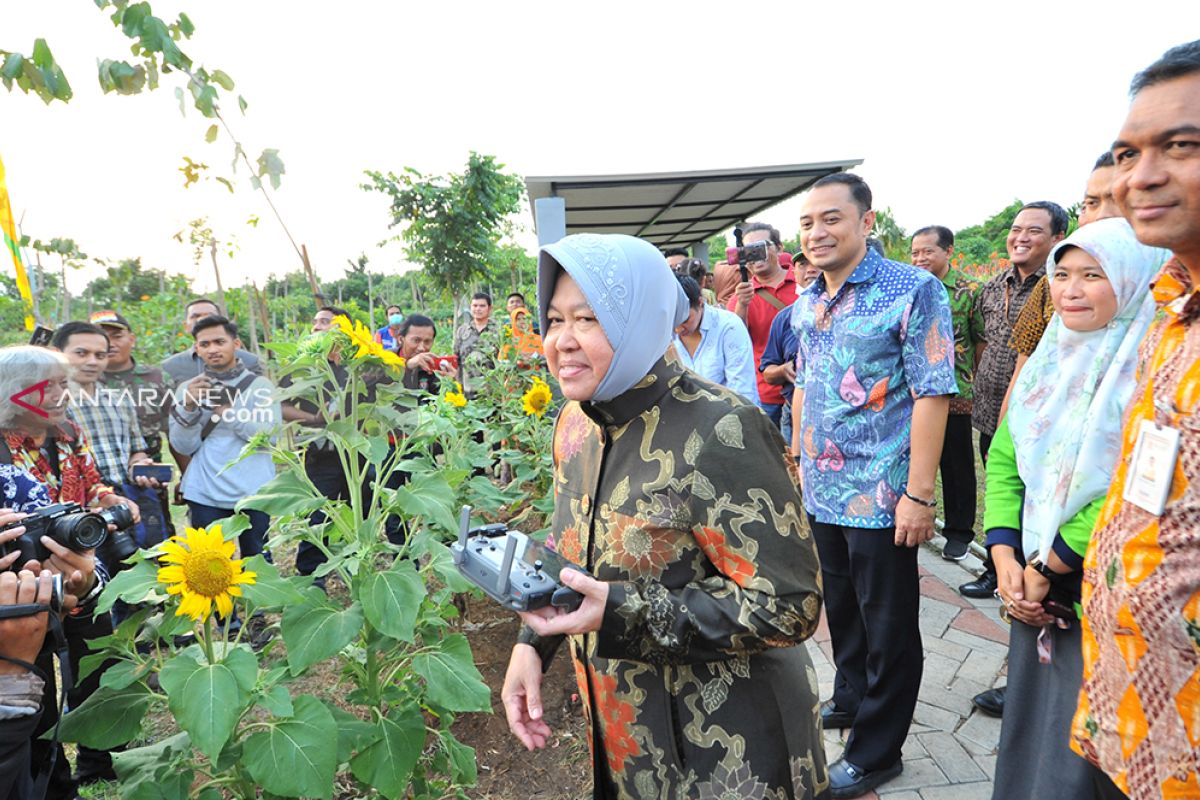 30 persen wilayah Surabaya dipenuhi taman