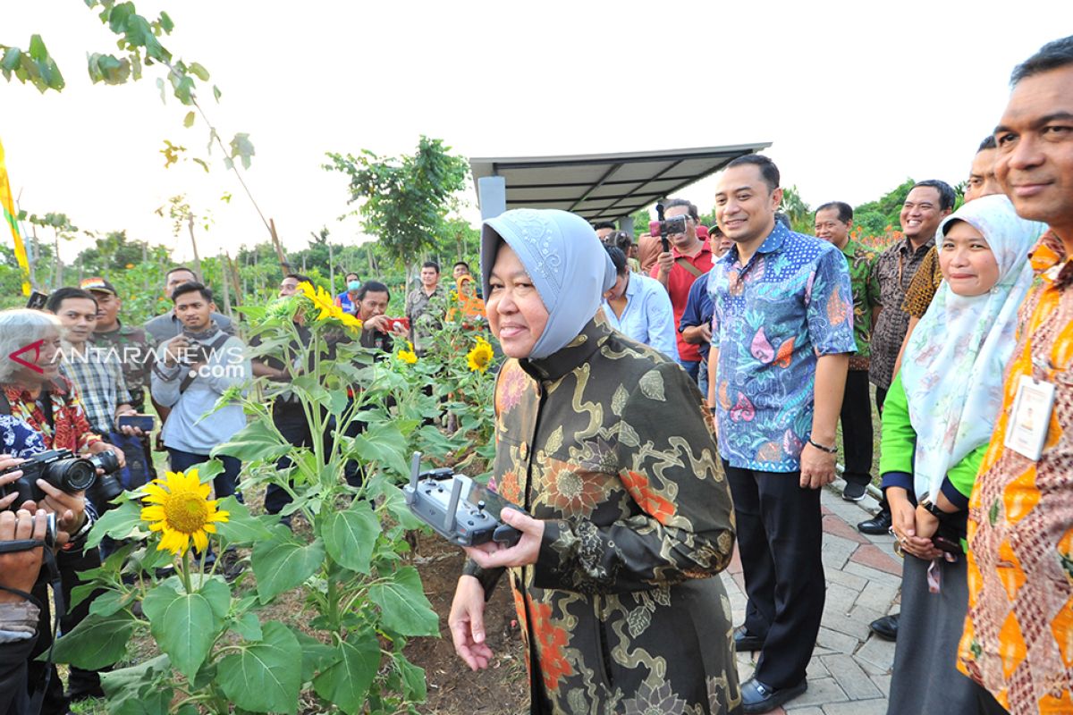 30 persen wilayah di Kota Surabaya adalah taman