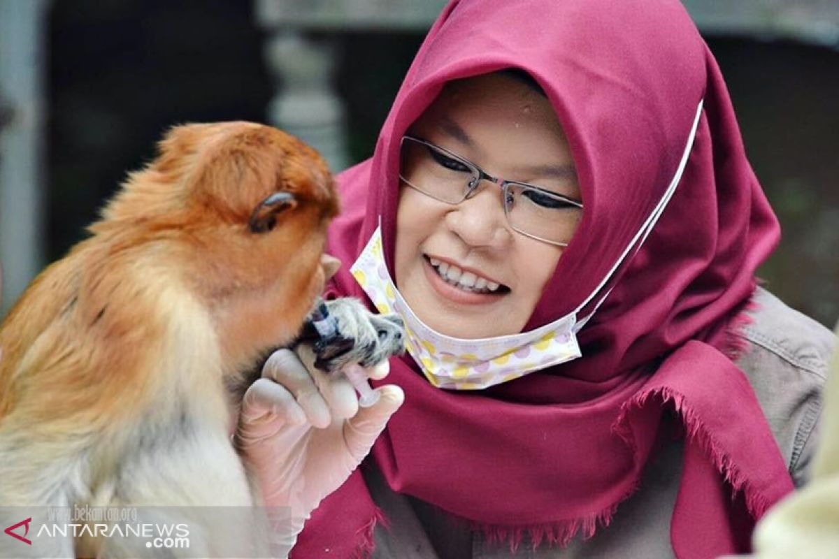 Perempuan hebat penyelamat Bekantan itu bernama Amalia