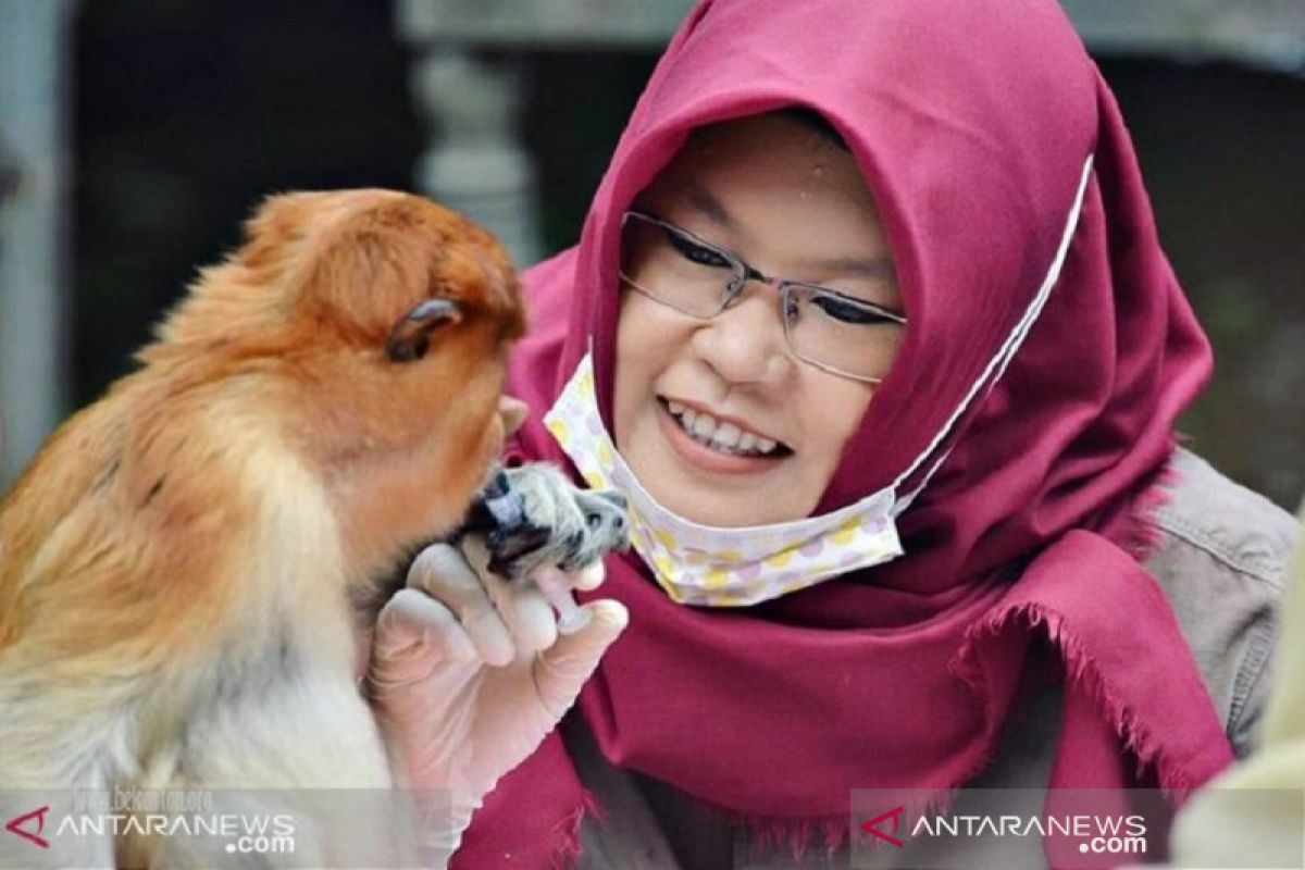 Perempuan hebat penyelamat Bekantan itu bernama Amalia Rezeki