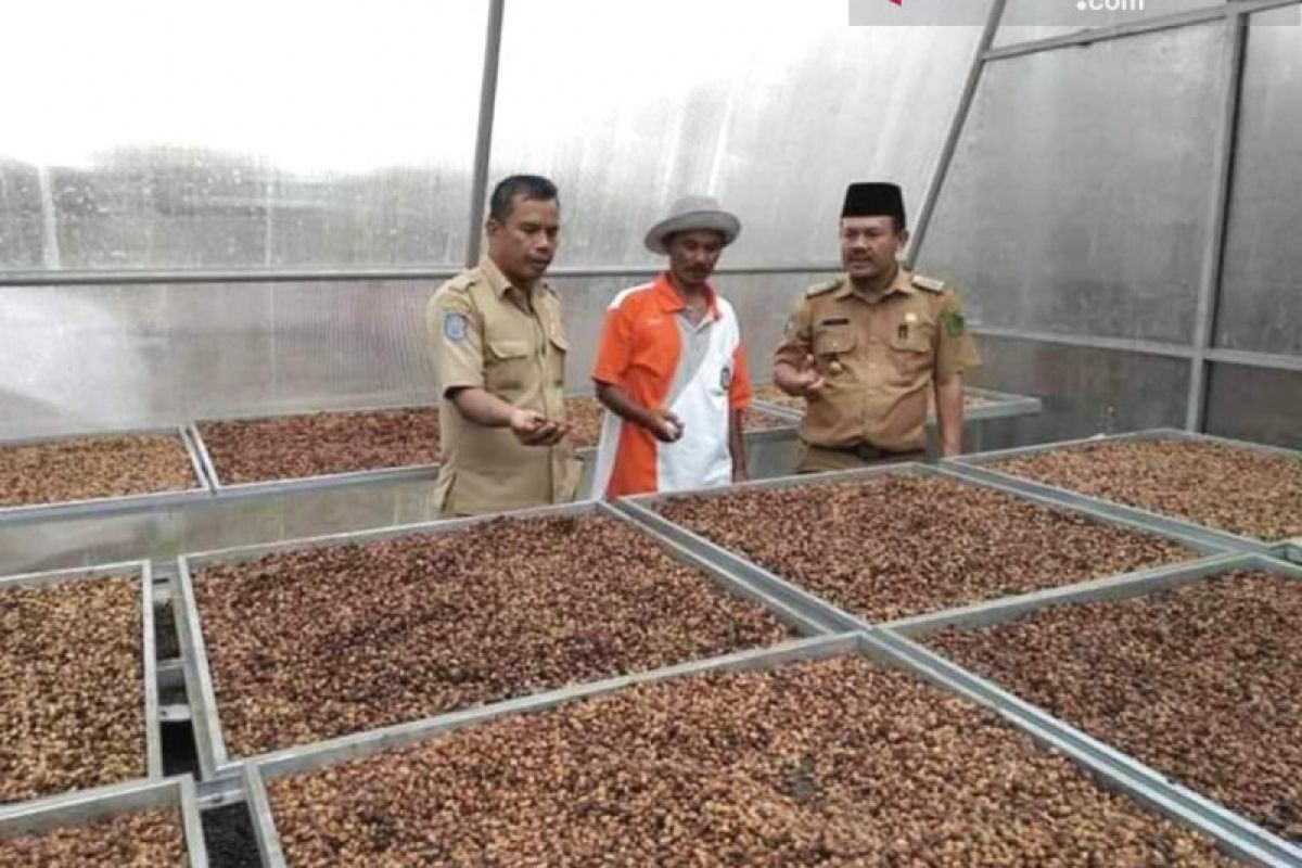 Rejang Lebong kembangkan komoditas kopi dan aren