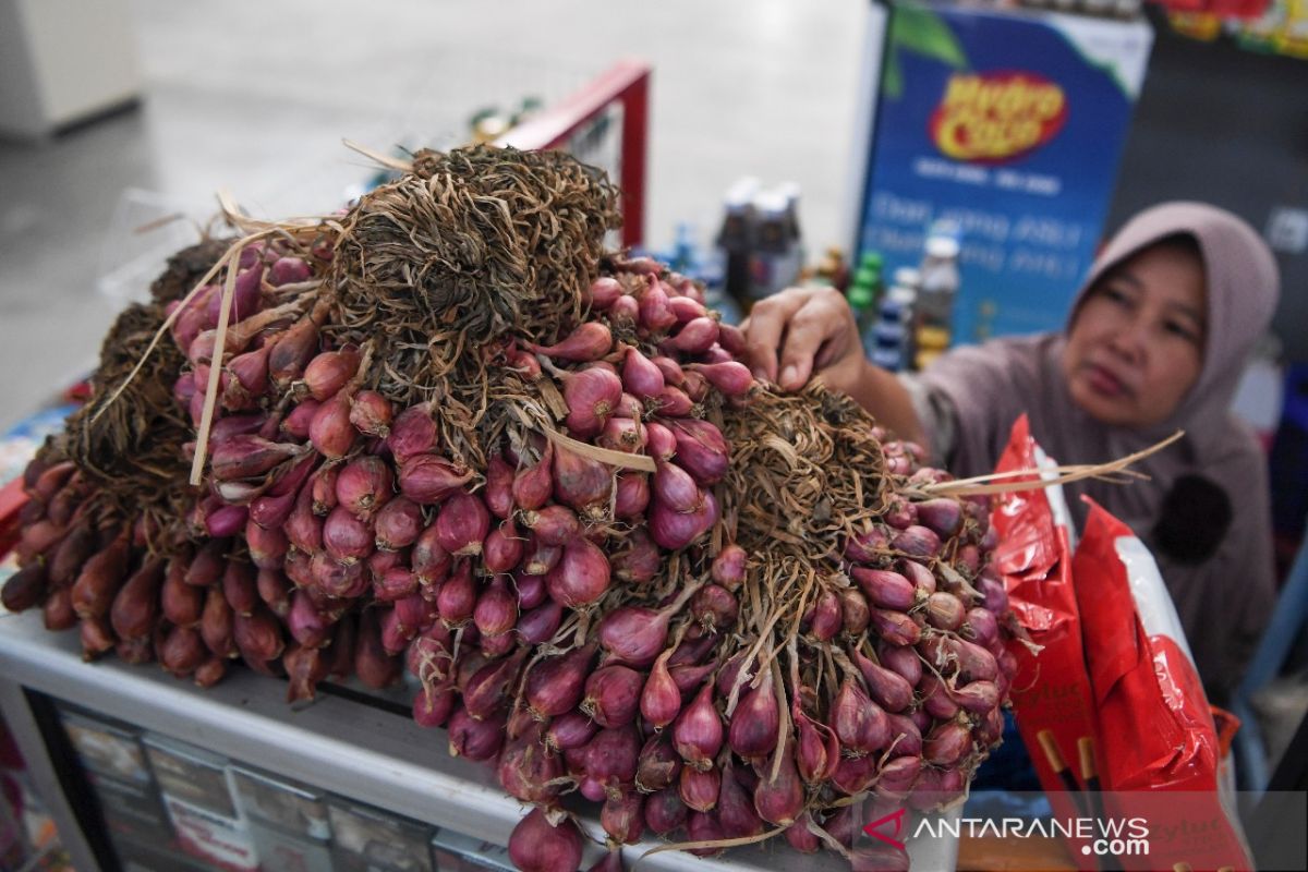 Omzet pedagang bawang anjlok 50 persen di jalan alternatif Brebes